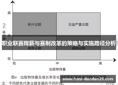 职业联赛降薪与赛制改革的策略与实施路径分析