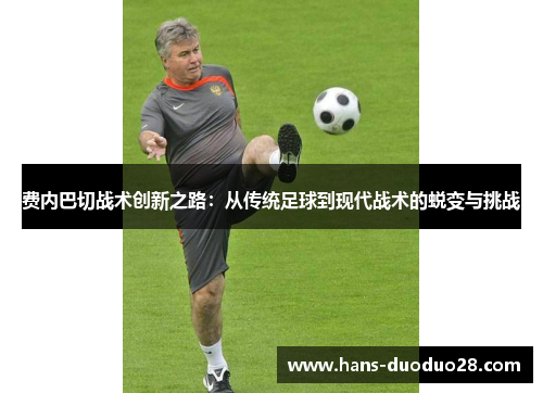 费内巴切战术创新之路：从传统足球到现代战术的蜕变与挑战